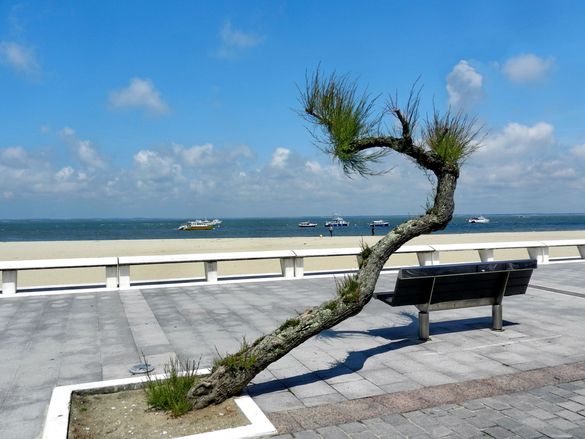 Arcachon
